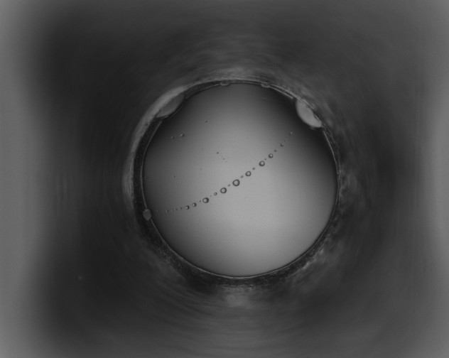 X0000100770200200806191248