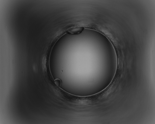 X0000100770201200806191248