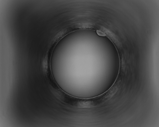 X0000100770202200806191248
