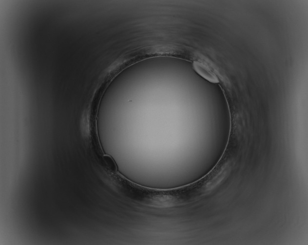 X0000100770203200806191248