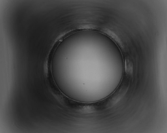 X0000100770204200806191248