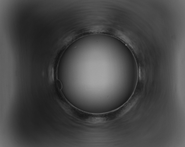 X0000100770205200806191248