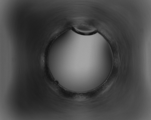 X0000100770207200806191248