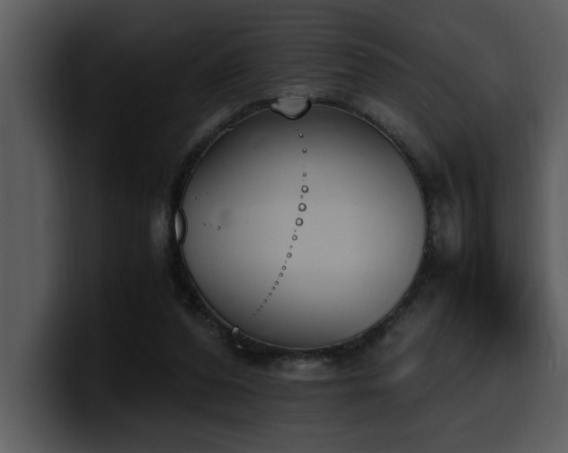 X0000100770208200806191248