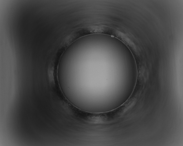 X0000100770209200806191248