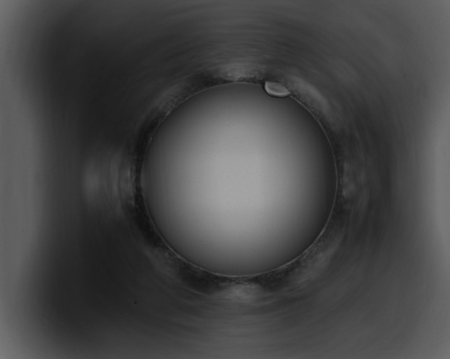 X0000100770210200806191248