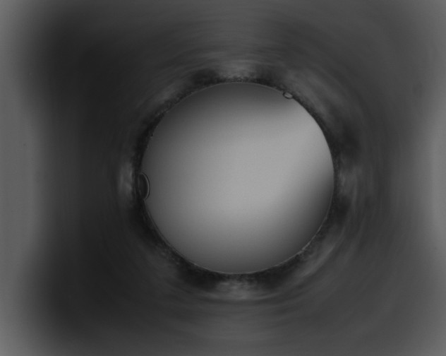 X0000100770211200806191248