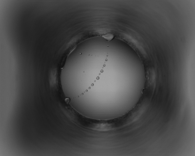 X0000100770212200806191248