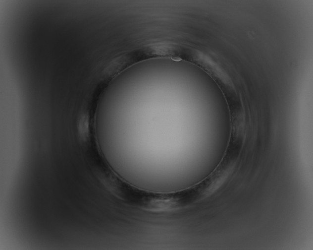 X0000100770213200806191248