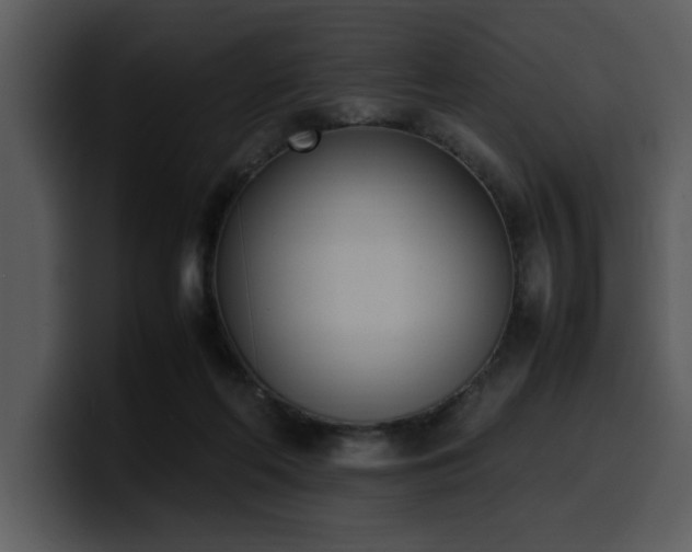 X0000100770214200806191248