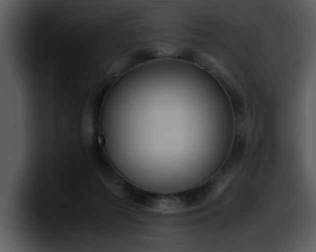 X0000100770215200806191248