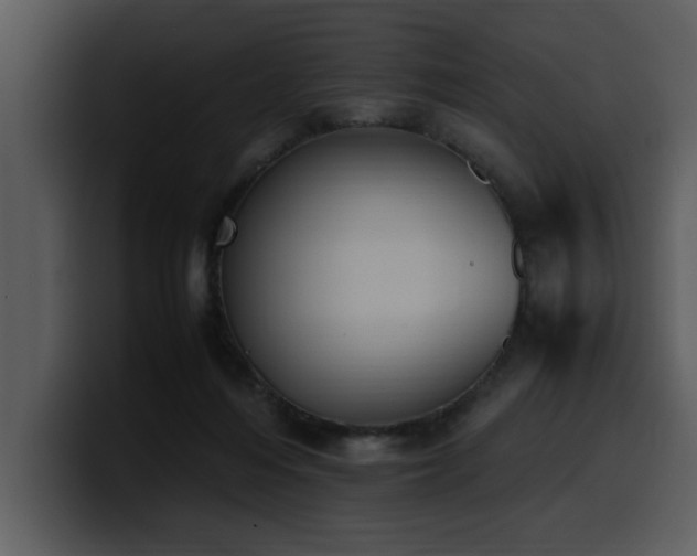 X0000100770216200806191248