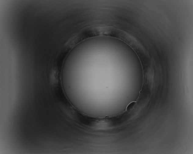 X0000100770218200806191248