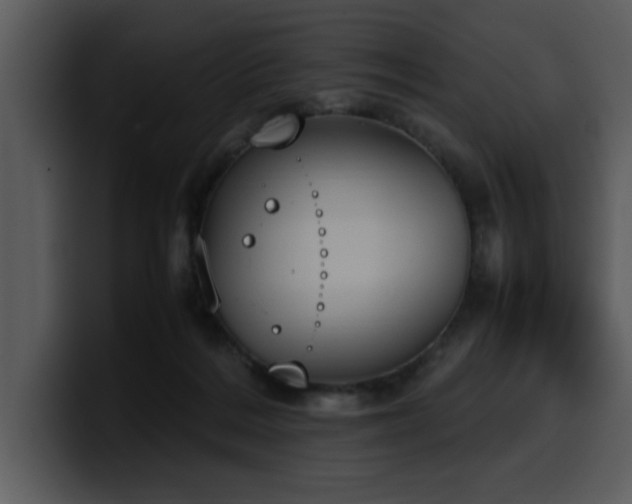 X0000100770220200806191248