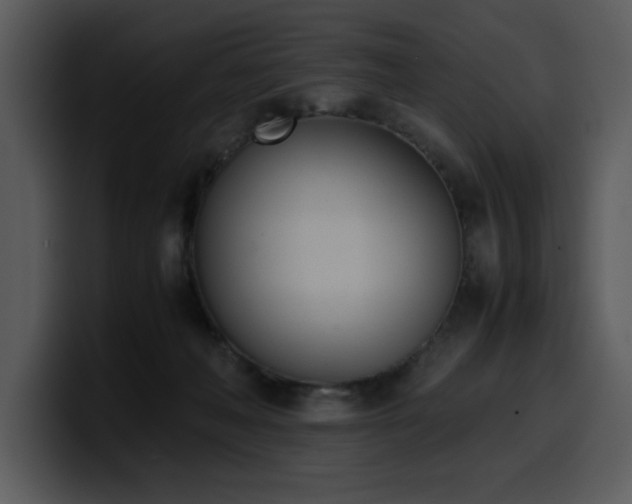 X0000100770222200806191248