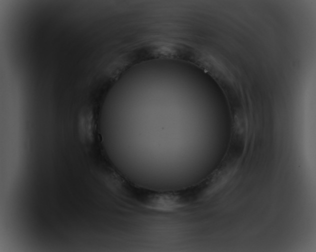 X0000100770223200806191248