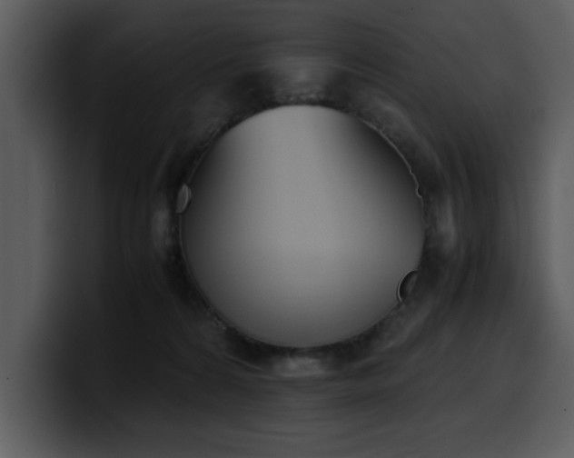 X0000100770224200806191248