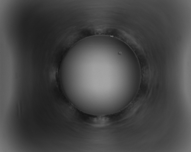 X0000100770225200806191248