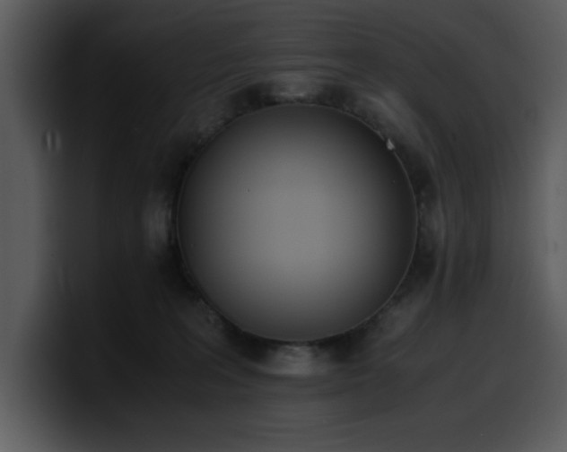 X0000100770227200806191248