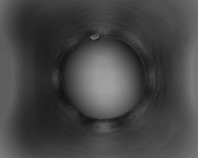 X0000100770228200806191248