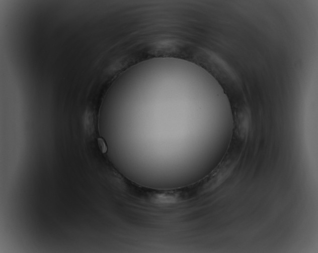X0000100770232200806191248
