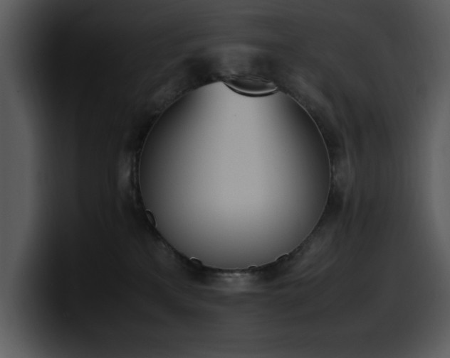 X0000100770233200806191248