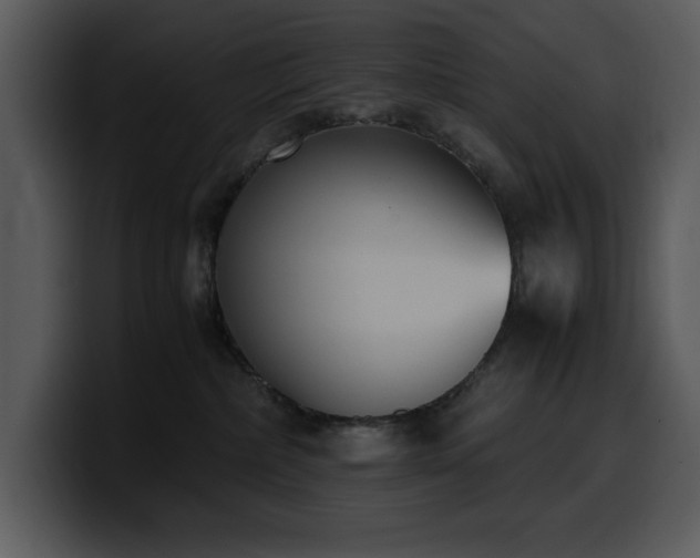 X0000100770236200806191248