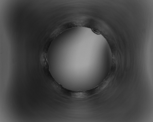 X0000100770237200806191248