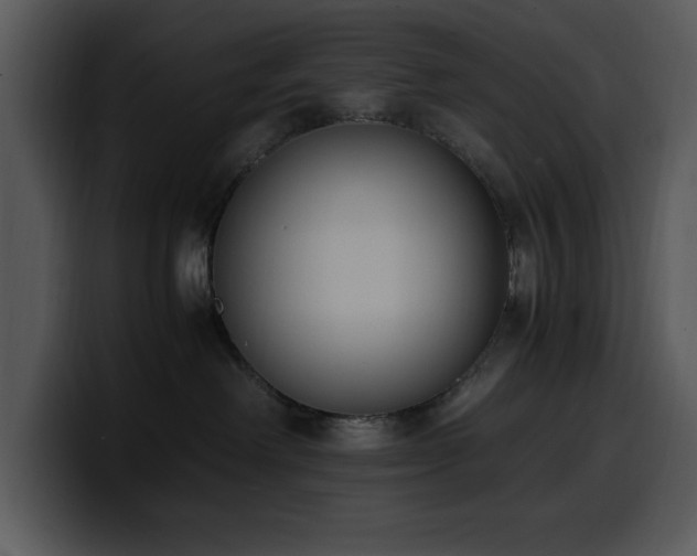 X0000100770238200806191248