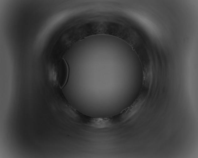 X0000100770239200806191248