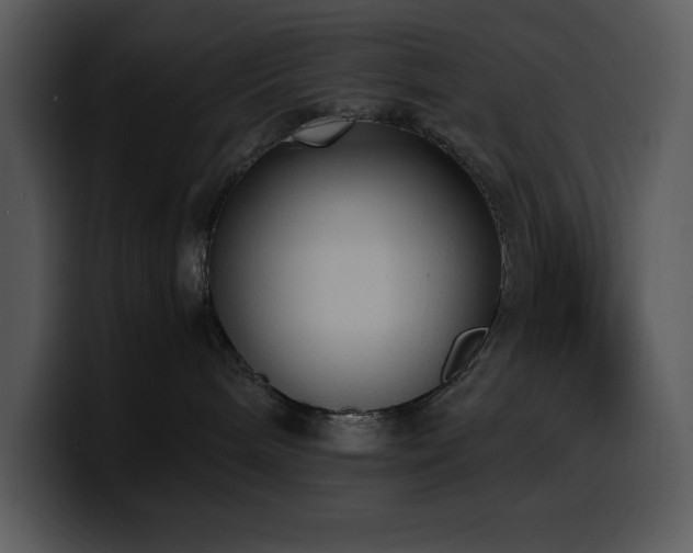 X0000100770240200806191248