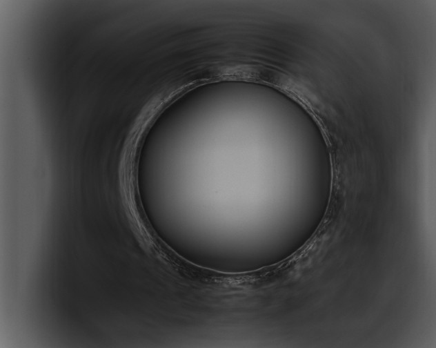 X0000100770241200806191247
