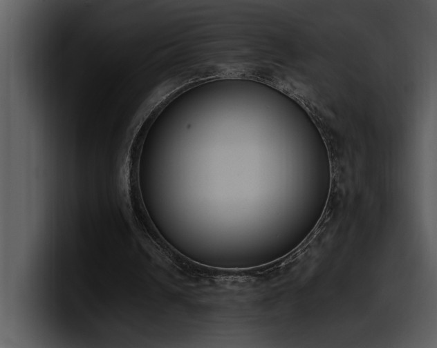 X0000100770242200806191247