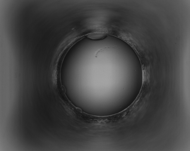 X0000100770243200806191247