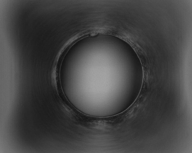 X0000100770244200806191247