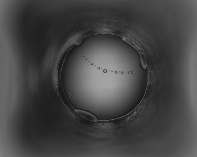 X0000100770245200806191247