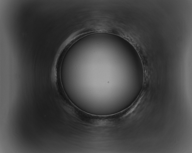 X0000100770246200806191247