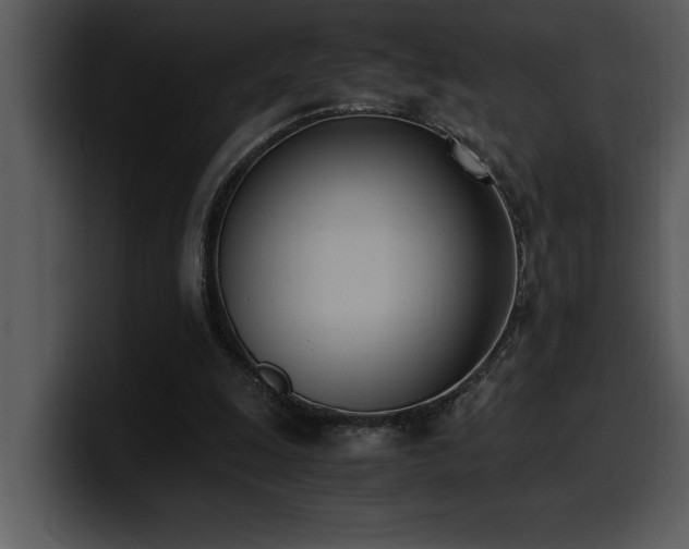 X0000100770247200806191247