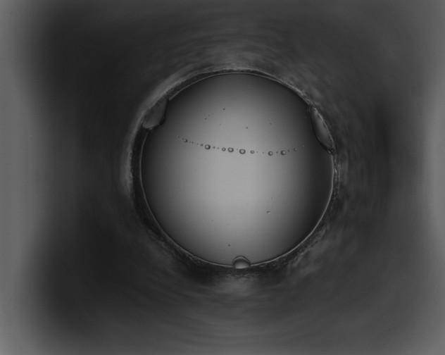 X0000100770248200806191247