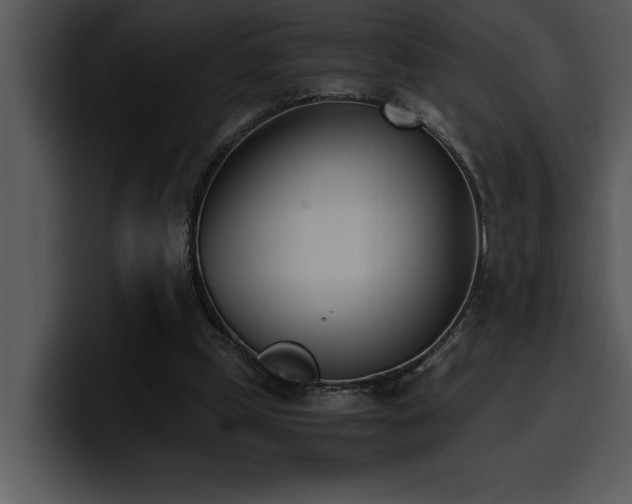 X0000100770249200806191247