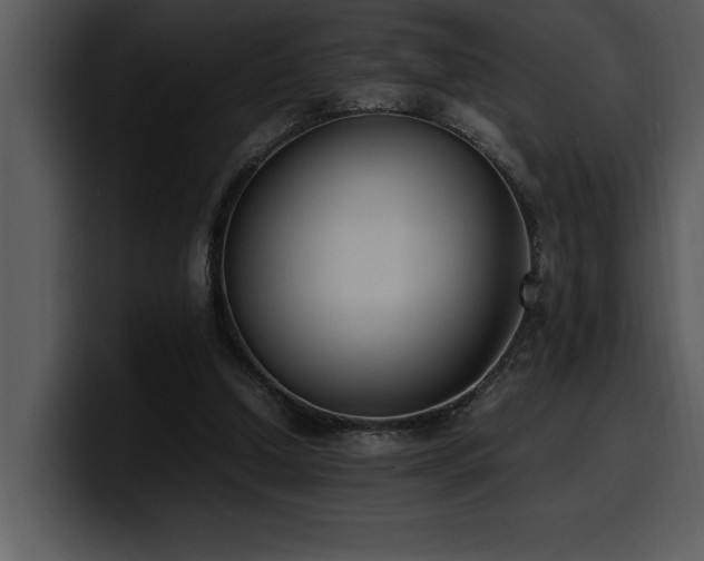 X0000100770250200806191247
