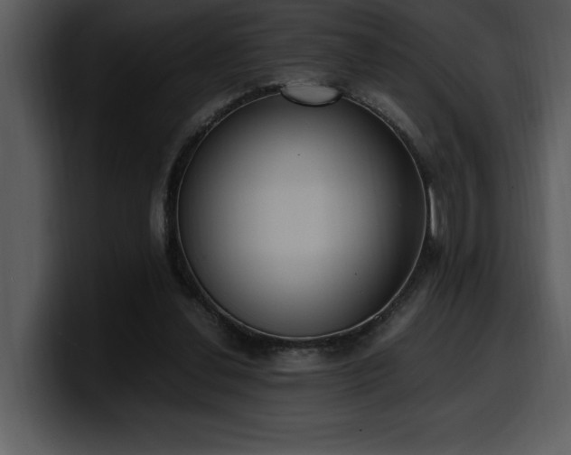 X0000100770252200806191247