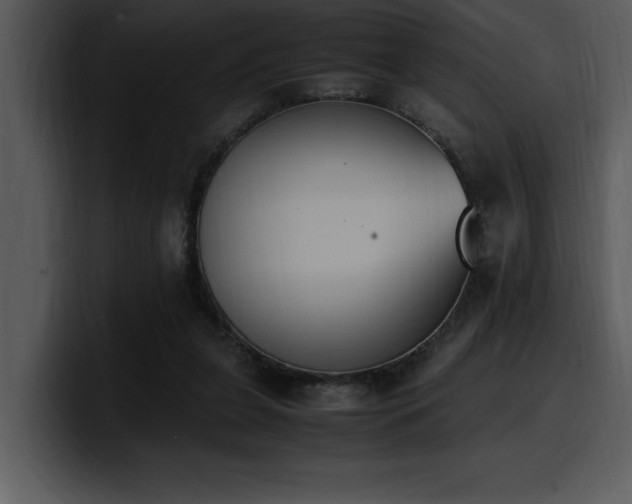 X0000100770255200806191247