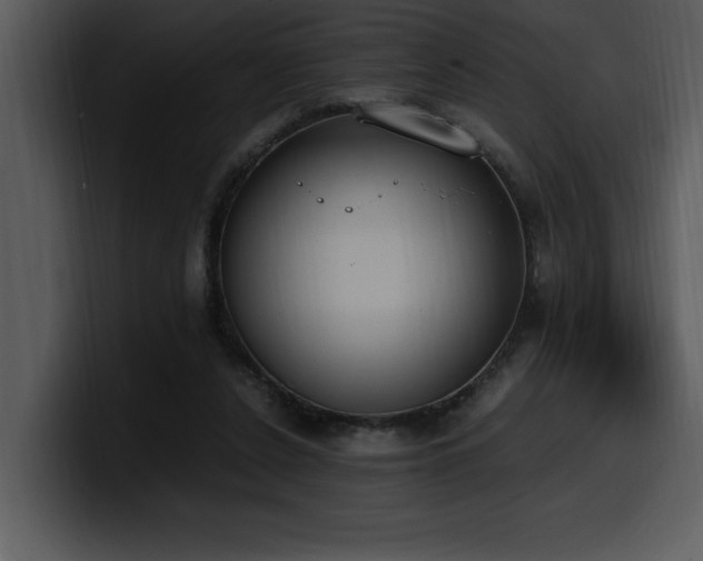 X0000100770256200806191247