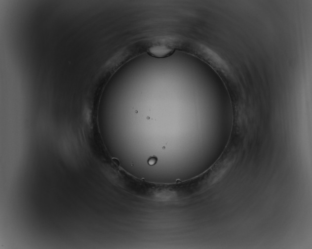 X0000100770258200806191247