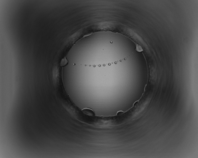X0000100770260200806191247
