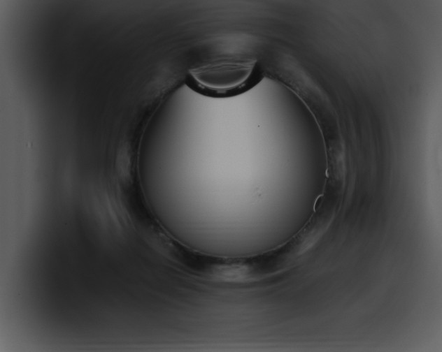 X0000100770266200806191247