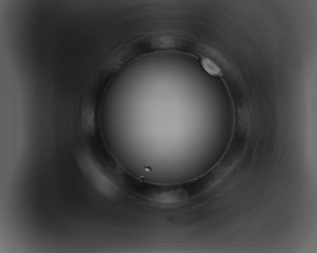 X0000100770267200806191247