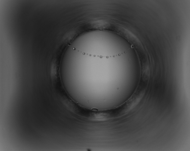 X0000100770268200806191247