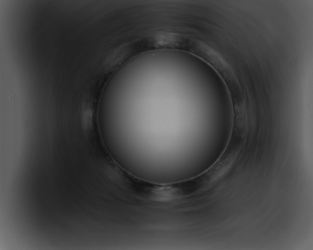 X0000100770269200806191247